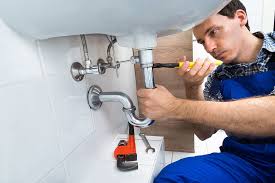 Best Plumbing System Maintenance  in Caledonia, MN